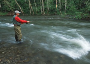 fishing gibbs fresh